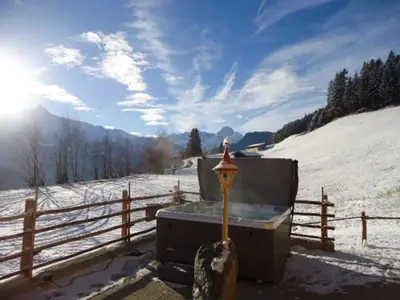 Ferienhaus für 4 Personen (80 m²) in Hippach-Schwendberg 3/10