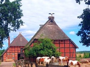 Ferienhaus für 4 Personen (60 m&sup2;) in Hittbergen