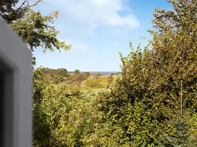 view-from-room