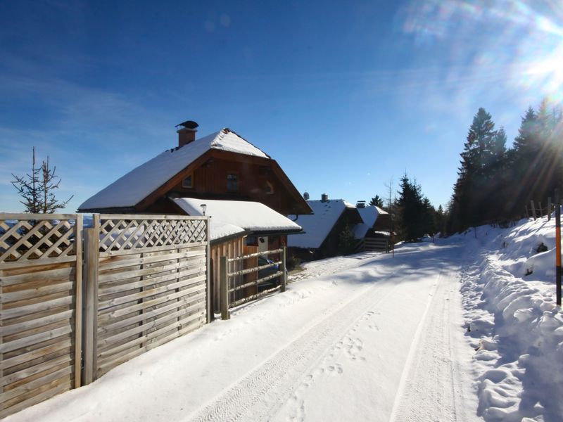 23845260-Ferienhaus-6-Hochrindl-800x600-2