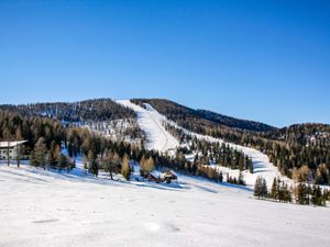 23845260-Ferienhaus-6-Hochrindl-300x225-5