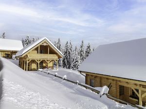 23853941-Ferienhaus-6-Hochrindl-300x225-3