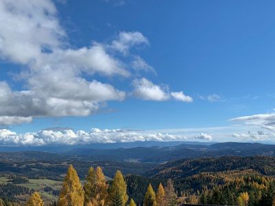 Ferienhaus für 4 Personen (98 m²) in Hochrindl 10/10