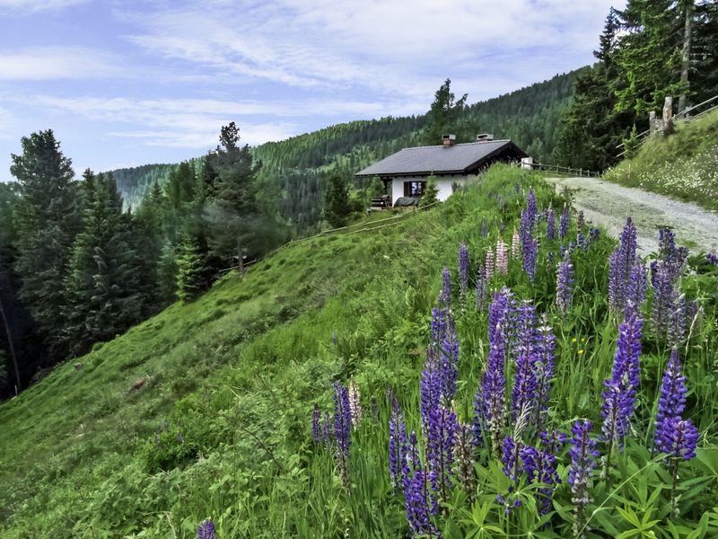 23840715-Ferienhaus-6-Hochrindl-800x600-0