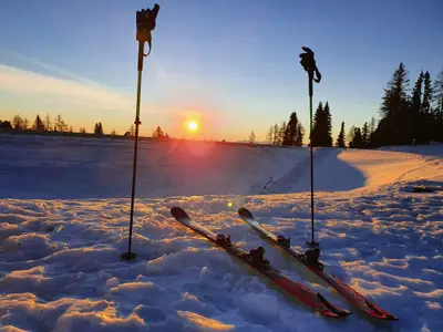 Morgenstund hat- Glücksgefühle im Körper