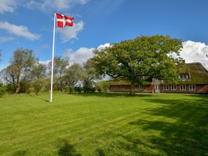 Ferienhaus für 22 Personen (507 m&sup2;) in Højer