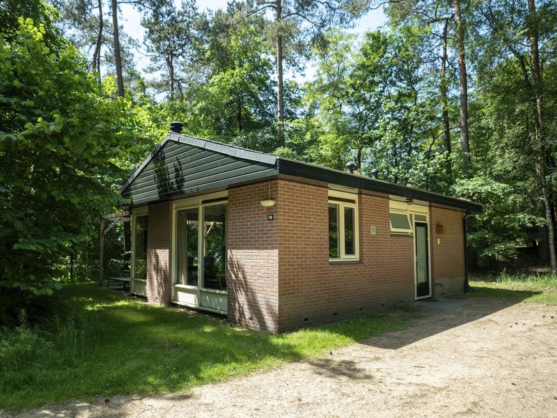 7134115-Ferienhaus-2-Hoenderloo-800x600-0