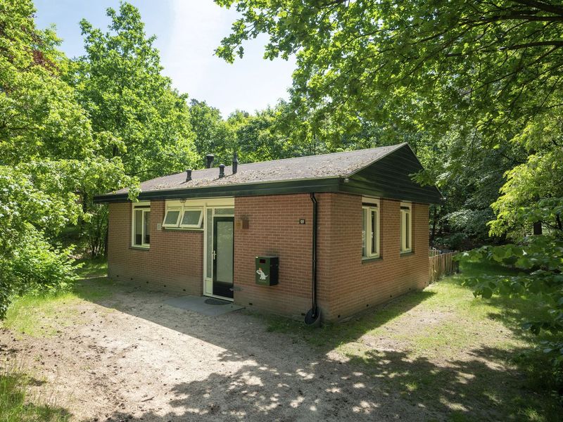 22156985-Ferienhaus-4-Hoenderloo-800x600-1