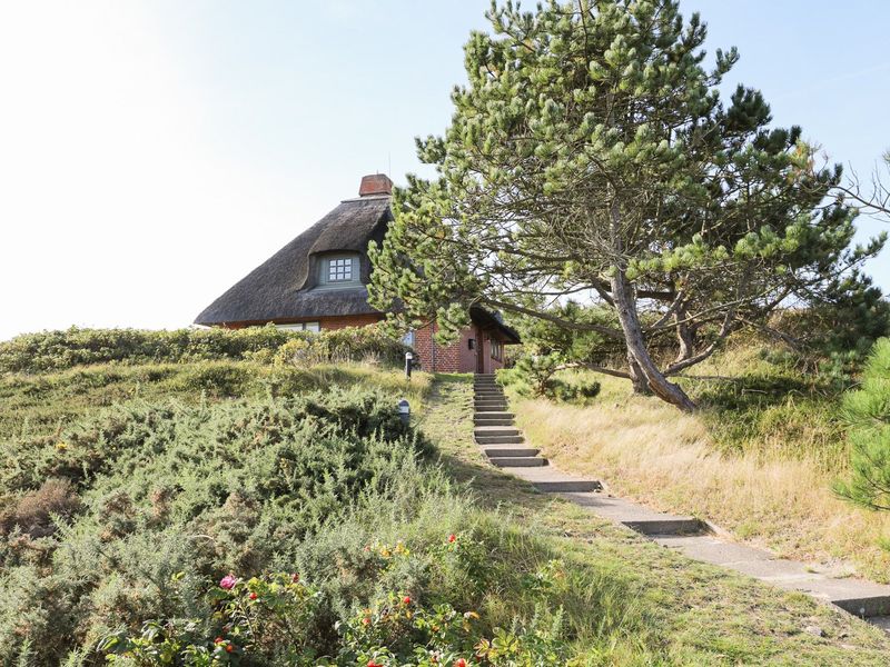 23889901-Ferienhaus-4-Hörnum (Sylt)-800x600-0