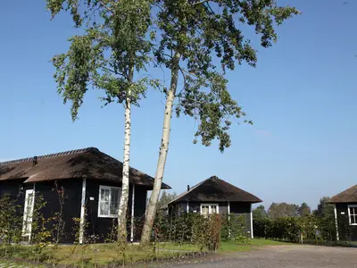 ExteriorSummer