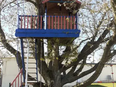 Ferienhaus für 5 Personen (40 m²) in Hohen Niendorf 2/10