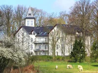 Ferienhaus für 5 Personen (40 m²) in Hohen Niendorf 10/10