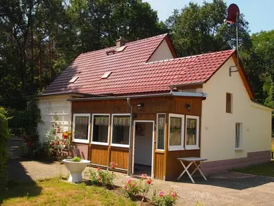 Ferienhaus für 8 Personen (100 m²) in Hohenbocka 3/10