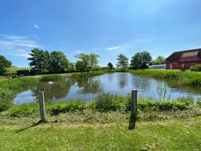 Ferienhaus für 5 Personen (88 m²) in Hohenkirchen (Ostsee) 6/10