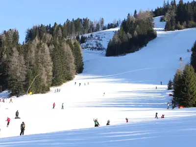 ViewWinter
