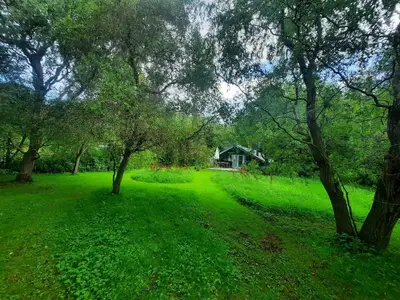 Outdoor
