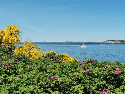 WaterView