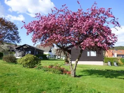 Ferienhaus für 4 Personen (60 m²) in Holenberg 1/10