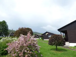 Ferienhaus für 4 Personen (60 m²) in Holenberg