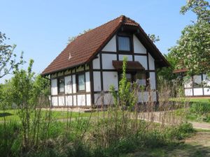 Ferienhaus für 7 Personen (65 m²) in Hollern-Twielenfleth