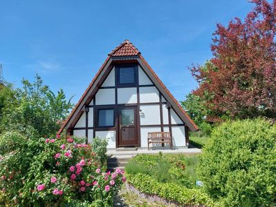 Ferienhaus für 6 Personen (66 m²) in Hollern-Twielenfleth 3/10