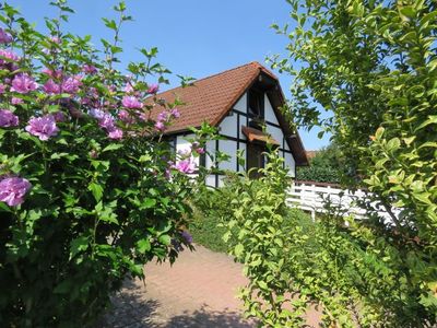 Ferienhaus für 8 Personen (86 m²) in Hollern-Twielenfleth 2/10