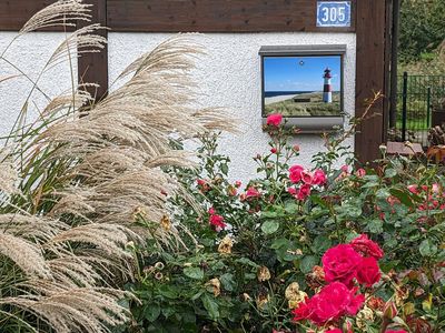 Ferienhaus für 2 Personen (46 m²) in Hollern-Twielenfleth 2/10