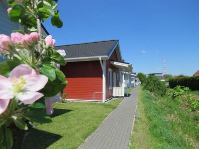 Ferienhaus für 5 Personen (60 m²) in Hollern-Twielenfleth 2/10