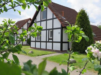 Ferienhaus für 6 Personen (60 m²) in Hollern-Twielenfleth 3/10