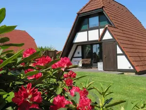 Ferienhaus für 6 Personen (66 m²) in Hollern-Twielenfleth