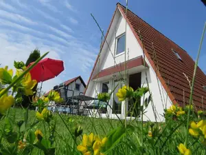 Ferienhaus für 6 Personen (50 m²) in Hollern-Twielenfleth
