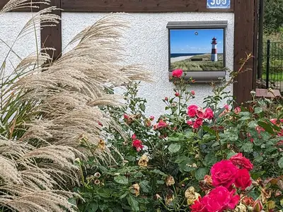 Ferienhaus für 2 Personen (46 m²) in Hollern-Twielenfleth 4/10