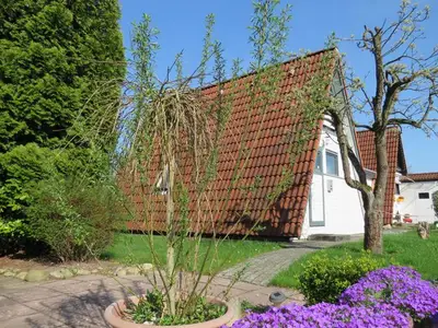 Ferienhaus für 4 Personen (53 m²) in Hollern-Twielenfleth 1/10