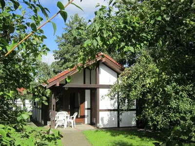Ferienhaus für 5 Personen (40 m²) in Hollern-Twielenfleth 2/10