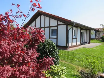 Ferienhaus für 5 Personen (60 m²) in Hollern-Twielenfleth 3/10