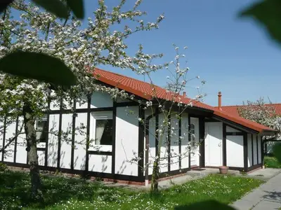 Ferienhaus für 5 Personen (60 m²) in Hollern-Twielenfleth 4/10