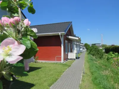 Ferienhaus für 5 Personen (60 m²) in Hollern-Twielenfleth 2/10