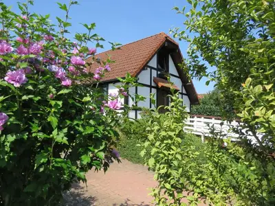 Ferienhaus für 8 Personen (86 m²) in Hollern-Twielenfleth 2/10