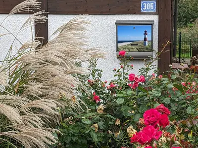 Ferienhaus für 2 Personen (46 m²) in Hollern-Twielenfleth 2/10