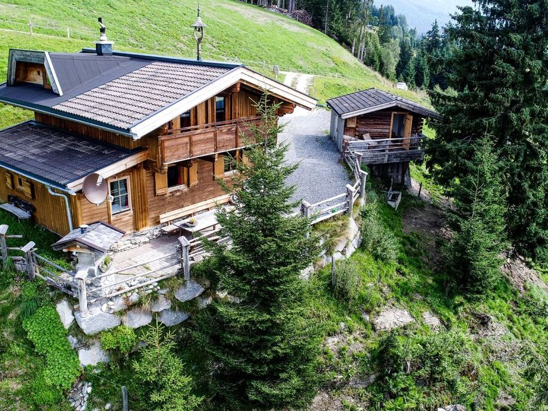 23551831-Ferienhaus-6-Hollersbach im Pinzgau-800x600-0