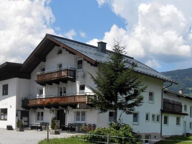 19310930-Ferienhaus-24-Hollersbach im Pinzgau-800x600-1