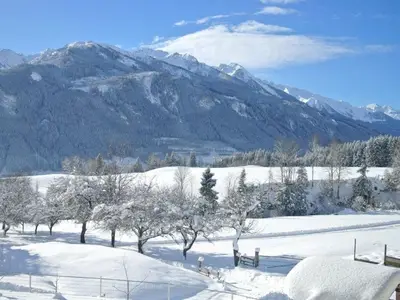 Ferienhaus für 20 Personen (300 m²) in Hollersbach im Pinzgau 5/10