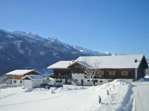 Ferienhaus für 20 Personen (300 m²) in Hollersbach im Pinzgau