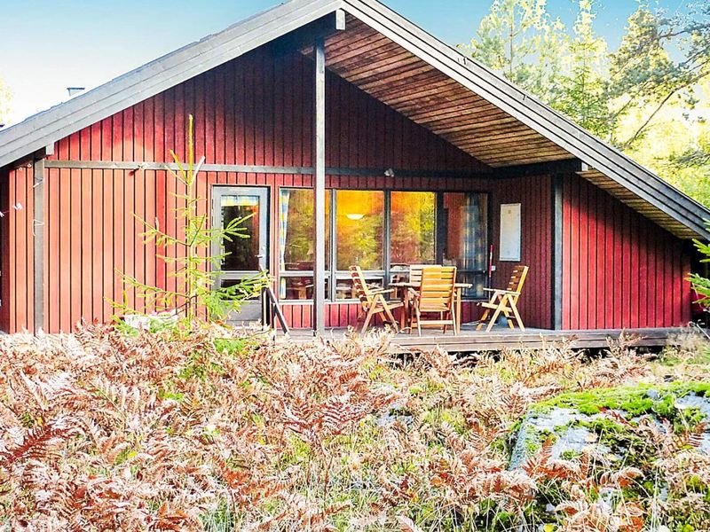 23276933-Ferienhaus-4-Holmsjö-800x600-0