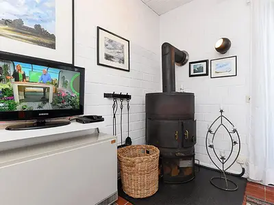 Kamin-/Ofen