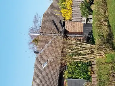 Ferienhaus für 8 Personen (120 m²) in Holtgast 4/8