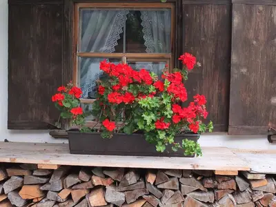 Bauernhaus Ramona - Fenster mit Blumen
