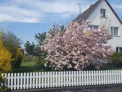 Ferienhaus für 5 Personen (82 m²) in Homberg (Efze) 2/10