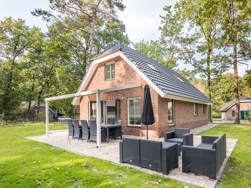 22954091-Ferienhaus-6-Hooghalen-800x600-0