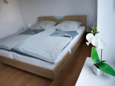 Ferienhaus für 6 Personen (79 m²) in Hooksiel 7/10